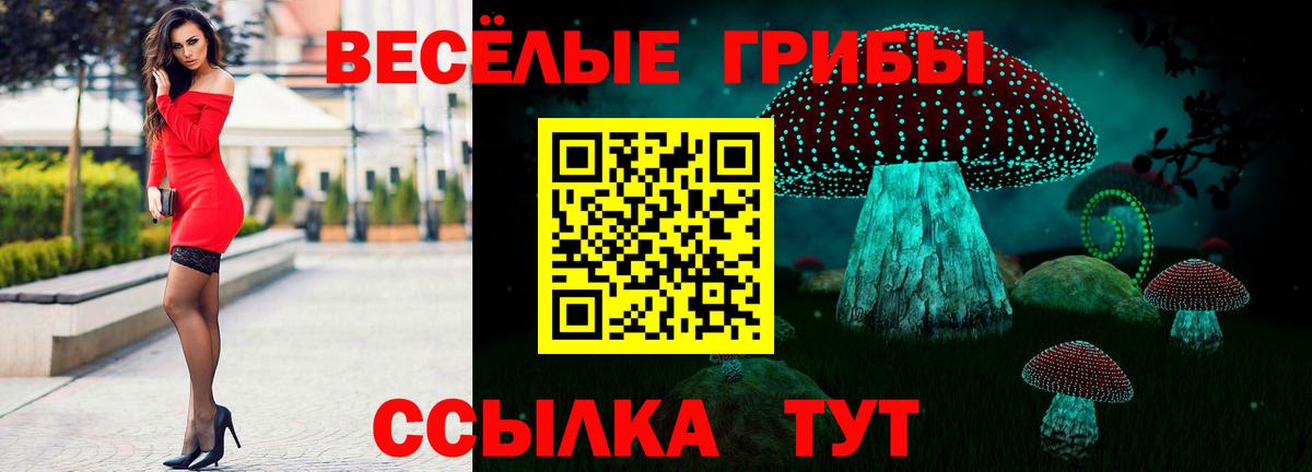 Галлюциногенные грибы Psilocybine cubensis Выборг