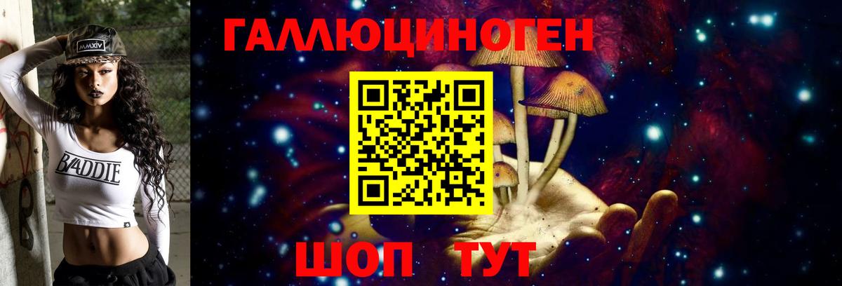Галлюциногенные грибы GOLDEN TEACHER  цена наркотик  Выборг  Псилоцибиновые грибы прущие грибы  Вход с VPN 