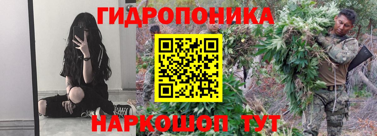 Бошки Шишки сатива Выборг